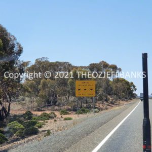 ROzCh84-33 | Travelling Around Australia with Jeff Banks