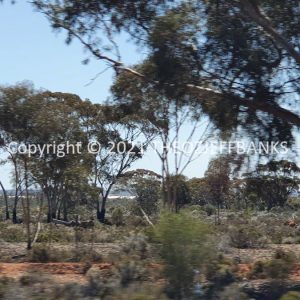 ROzCh84-34 | Travelling Around Australia with Jeff Banks