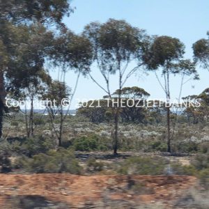 ROzCh84-35 | Travelling Around Australia with Jeff Banks