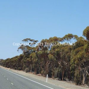 ROzCh84-38 | Travelling Around Australia with Jeff Banks