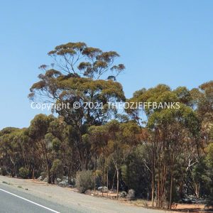 ROzCh84-39 | Travelling Around Australia with Jeff Banks