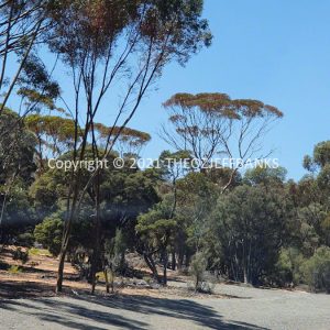 ROzCh84-40 | Travelling Around Australia with Jeff Banks