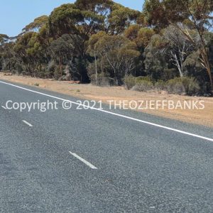 ROzCh84-41 | Travelling Around Australia with Jeff Banks