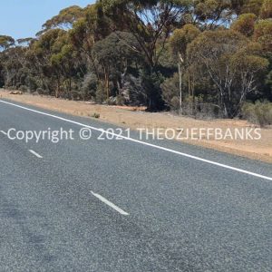 ROzCh84-42 | Travelling Around Australia with Jeff Banks