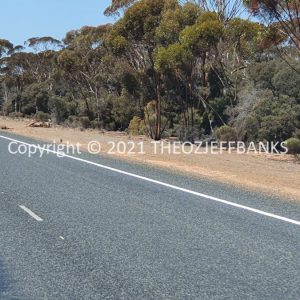 ROzCh84-43 | Travelling Around Australia with Jeff Banks