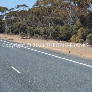 ROzCh84-44 | Travelling Around Australia with Jeff Banks