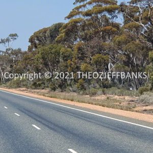ROzCh84-46 | Travelling Around Australia with Jeff Banks