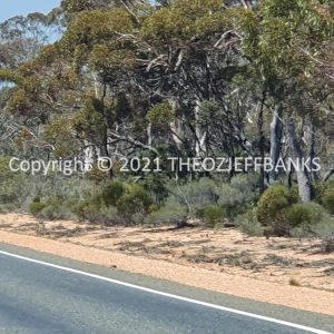 ROzCh84-48 | Travelling Around Australia with Jeff Banks