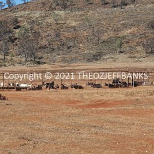 ROzCh84-54 | Travelling Around Australia with Jeff Banks