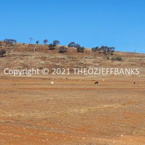 ROzCh84-55 | Travelling Around Australia with Jeff Banks