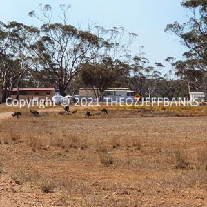 ROzCh84-76 | Travelling Around Australia with Jeff Banks