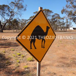 ROzCh84-80 | Travelling Around Australia with Jeff Banks