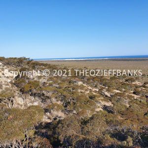 ROzCh85-32 | Travelling Around Australia with Jeff Banks
