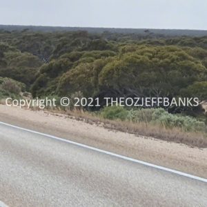 ROzCh86-01