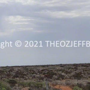 ROzCh86-129 | Travelling Around Australia with Jeff Banks