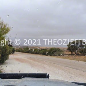 ROzCh86-139 | Travelling Around Australia with Jeff Banks