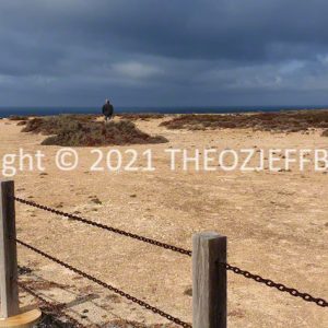 ROzCh86-55 | Travelling Around Australia with Jeff Banks