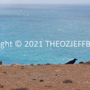 ROzCh86-61 | Travelling Around Australia with Jeff Banks