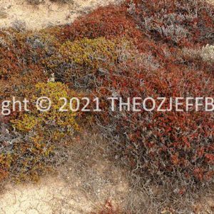 ROzCh86-63F | Travelling Around Australia with Jeff Banks
