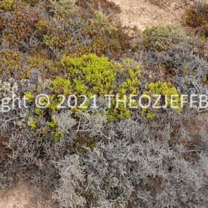 ROzCh86-64F | Travelling Around Australia with Jeff Banks