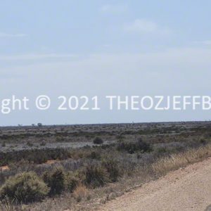 ROzCh86-68 | Travelling Around Australia with Jeff Banks