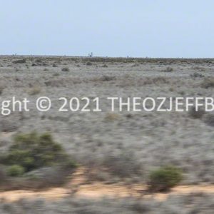 ROzCh86-69 | Travelling Around Australia with Jeff Banks