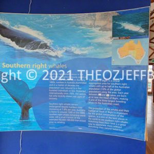 ROzCh86-88 | Travelling Around Australia with Jeff Banks