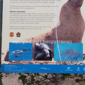 ROzCh86-92 | Travelling Around Australia with Jeff Banks