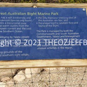 ROzCh86-93 | Travelling Around Australia with Jeff Banks