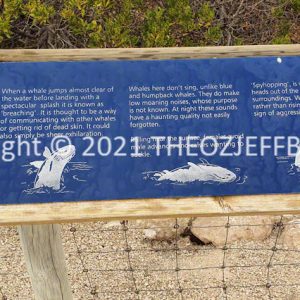ROzCh86-94 | Travelling Around Australia with Jeff Banks