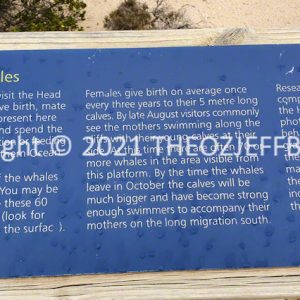 ROzCh86-97 | Travelling Around Australia with Jeff Banks