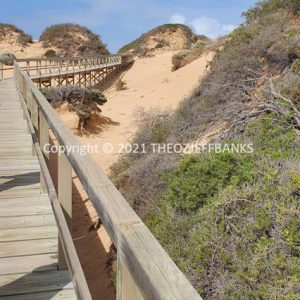 ROzCh88-48 | Travelling Around Australia with Jeff Banks
