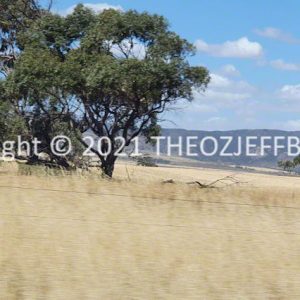 ROzCh91-109 | Travelling Around Australia with Jeff Banks
