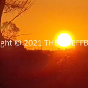 ROzCh91-119S | Travelling Around Australia with Jeff Banks