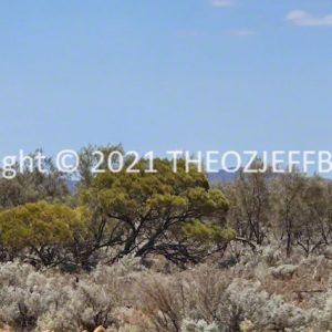 ROzCh91-37 | Travelling Around Australia with Jeff Banks