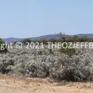 ROzCh91-38 | Travelling Around Australia with Jeff Banks