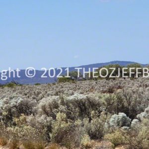 ROzCh91-39 | Travelling Around Australia with Jeff Banks