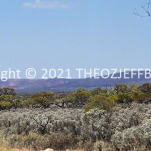 ROzCh91-40 | Travelling Around Australia with Jeff Banks