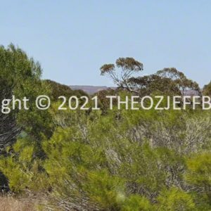 ROzCh91-43 | Travelling Around Australia with Jeff Banks