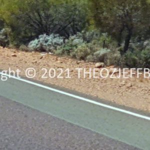 ROzCh91-46 | Travelling Around Australia with Jeff Banks