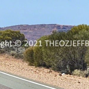 ROzCh91-47 | Travelling Around Australia with Jeff Banks