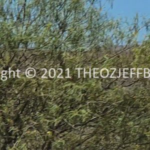 ROzCh91-53 | Travelling Around Australia with Jeff Banks