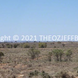 ROzCh91-65 | Travelling Around Australia with Jeff Banks