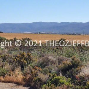 ROzCh92-03 | Travelling Around Australia with Jeff Banks