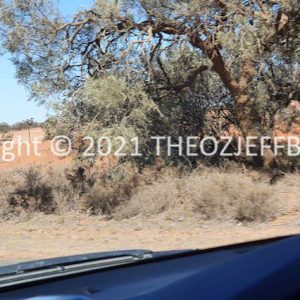 ROzCh92-100 | Travelling Around Australia with Jeff Banks