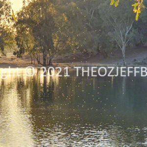 ROzCh92-127 | Travelling Around Australia with Jeff Banks
