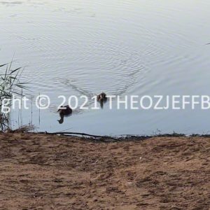 ROzCh92-165 | Travelling Around Australia with Jeff Banks