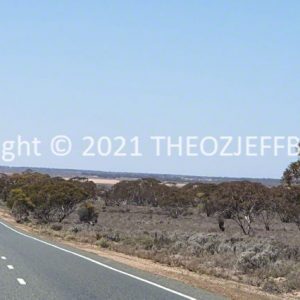 ROzCh92-31R | Travelling Around Australia with Jeff Banks