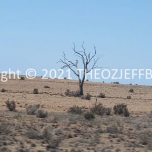 ROzCh92-32 | Travelling Around Australia with Jeff Banks
