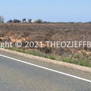 ROzCh92-33 | Travelling Around Australia with Jeff Banks